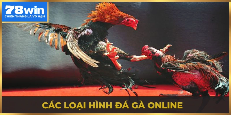 Các loại hình đá gà online phổ biến nhà cái 78win đang phát hành