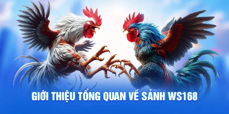 Giới thiệu tổng quan về sảnh WS168