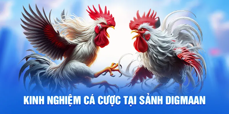 Kinh nghiệm cá cược tại sảnh digmaan