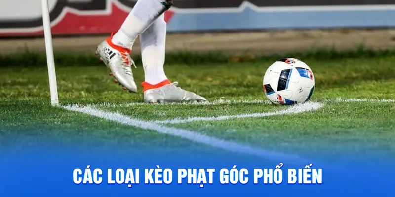 Kinh nghiệm chơi kèo phạt góc hiệu quả